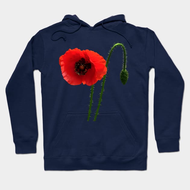 Red Poppy and Bud Hoodie by SusanSavad